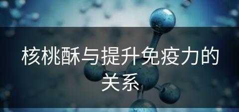 核桃酥与提升免疫力的关系